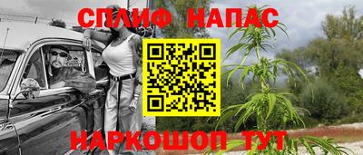 гашик Обь