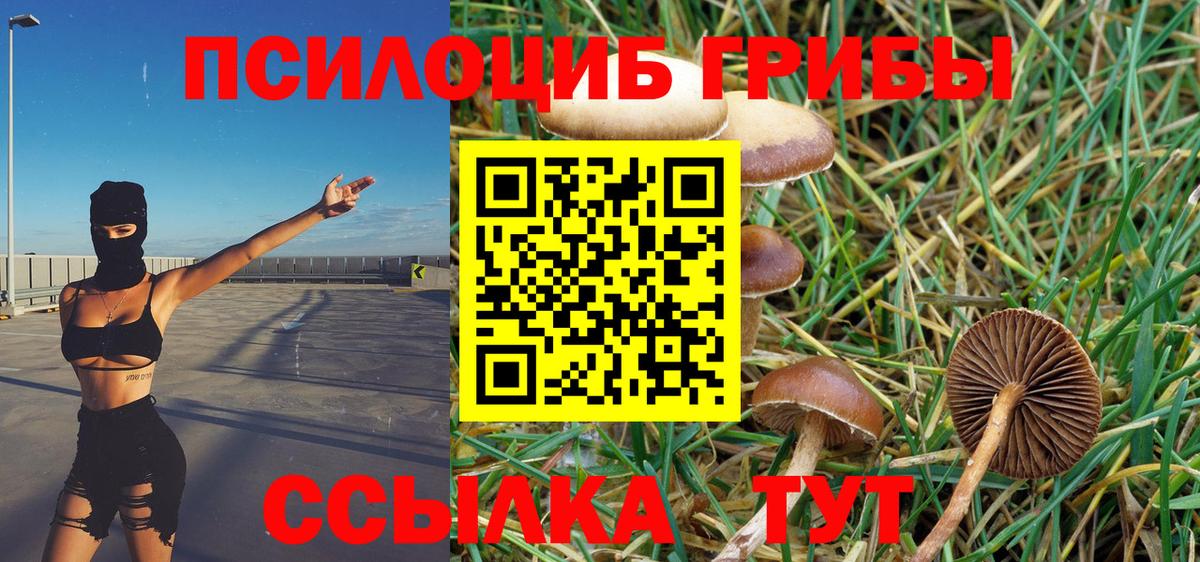 Соль-Илецк  Канабис  Cocaine  A PVP СК кристаллы  МЕФ кристаллы  Канабис  Вход с VPN  ГАШ 