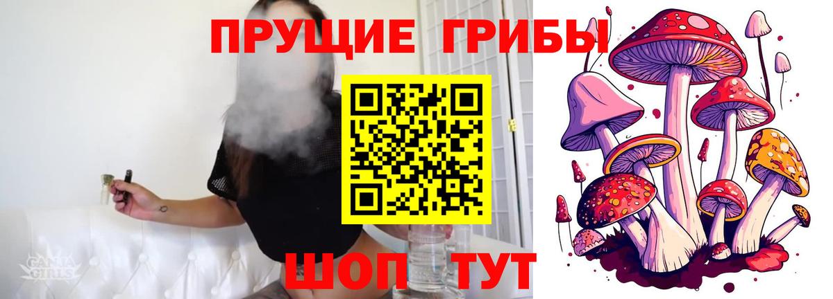 Псилоцибиновые грибы GOLDEN TEACHER Соль-Илецк