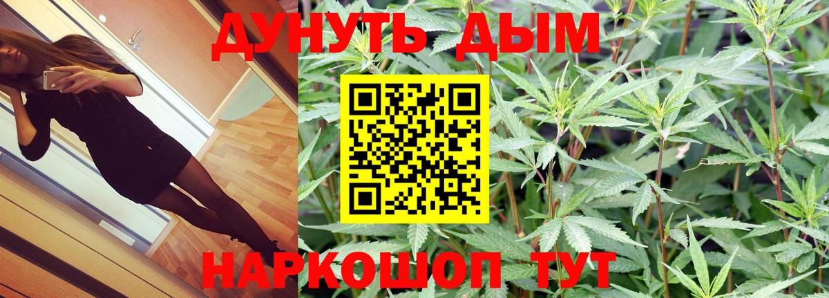 Бошки Шишки ГИДРОПОН  Конопля планчик  Вход с VPN  Соль-Илецк  Шишки марихуана план 